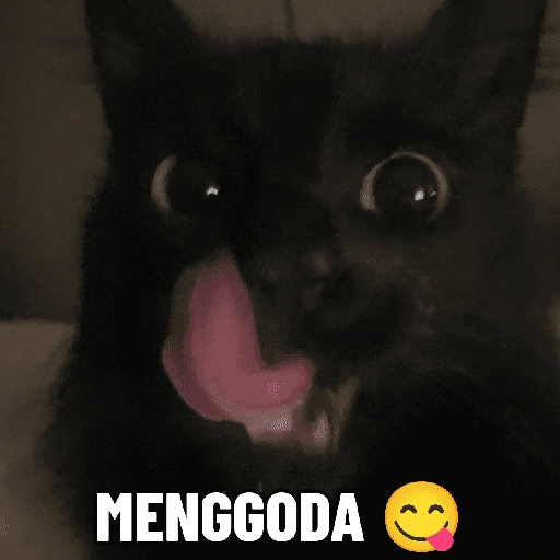 MENGGODA (vck2gwps3n)