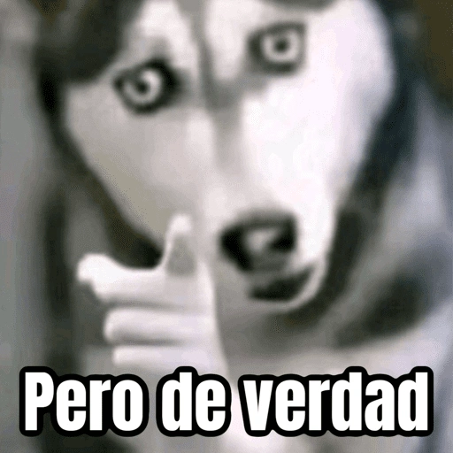 C Pero de verdad (3rcmjf6hvb)