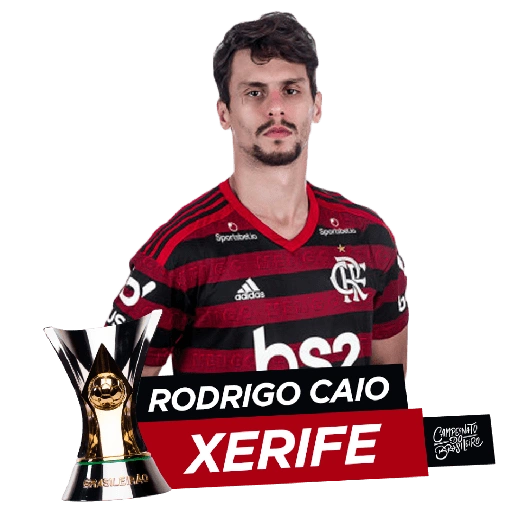 Flamengo Campe&atilde;o 2019 (xz7kj3vhn8)