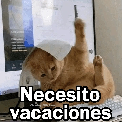 🩷😍Gatitos Con Frases🥴🐈‍⬛ (jqx9s7n35d)