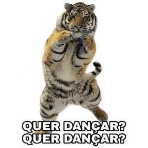 QUER DANÇAR? QUER DANÇAR? (mthn4wq7rd)