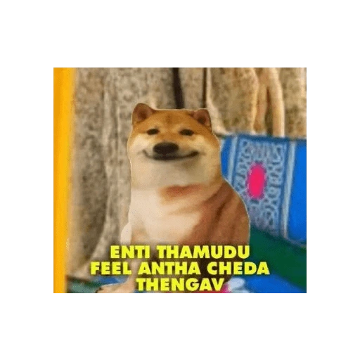 ENTI THAMUDU FEEL ANTHA CHEDA THENGAV (qs9f53hnxb)