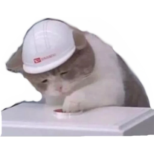 يضغط الموت (6752kpbw43)