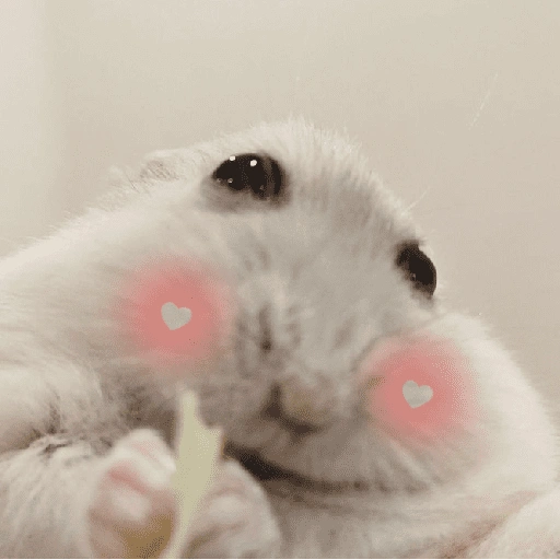الهامستر 🐹 (wyjq4vr5h2)