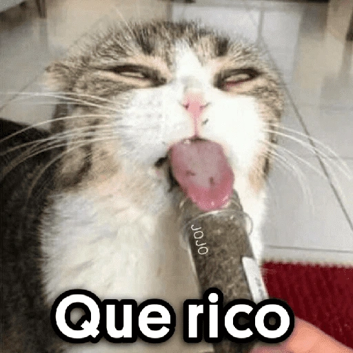 JOJO Que rico (h5zjd4c8bv)