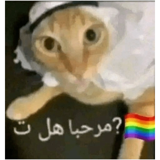 مرحبا هل ت...؟ (j2dbhp756m)