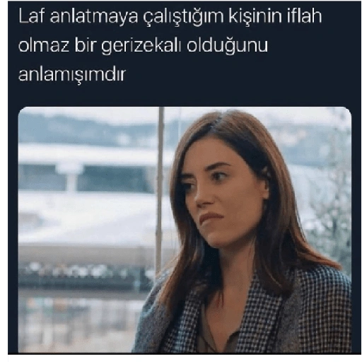 Laf anlatmaya çalıştığım kişinin iflah olmaz bir gerizekalı (kbysrqw62v)