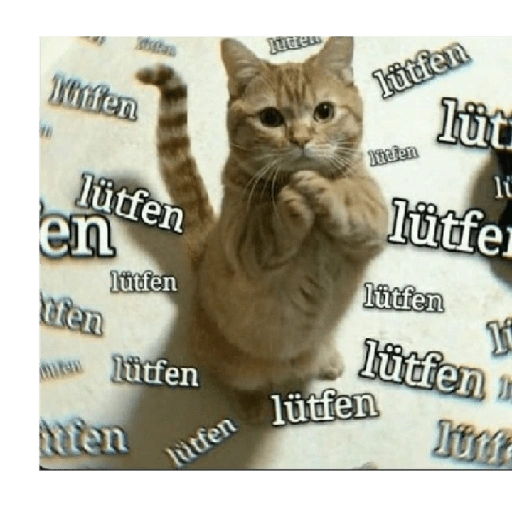 Kitfen lütfen en fen lütfen lütfen Mten lütfen lütfen Yucien (5zrxmtnv86)