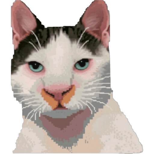 Michis Pixelados ≫🐈≪ (57sh2y4j9b)