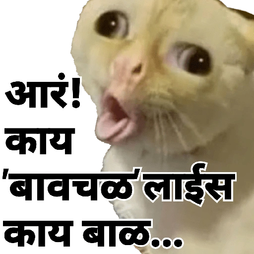आरं! काय 'बावचळ' लाईस काय बाळ... (htsrpcj8vg)