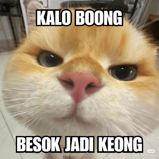 Meme Kucing Lucu 🐱 (tm3cp5v4x8)