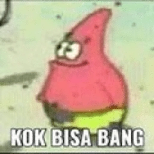 13 KOK BISA BANG (k7pb239dc8)