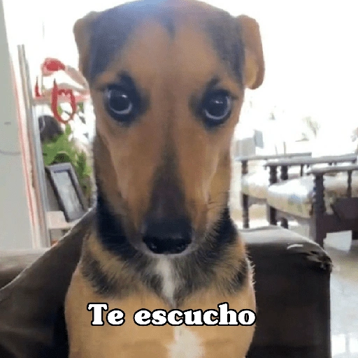 Te escucho (hryb93ncp6)