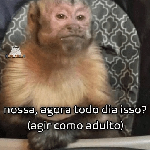 QUA SURTO nossa, agora todo dia isso? (agir como adulto) (7gx8hc2mjs)