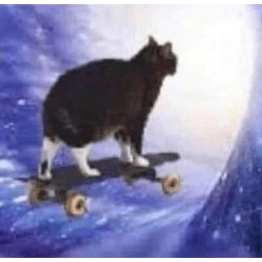 C (3d9qsxfwn2)