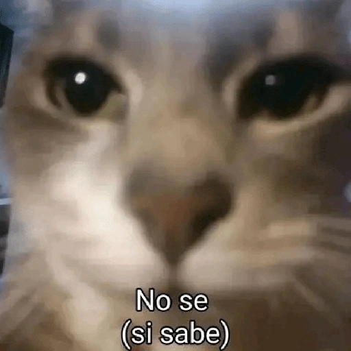 No se (si sabe) (twk8vsmch9)