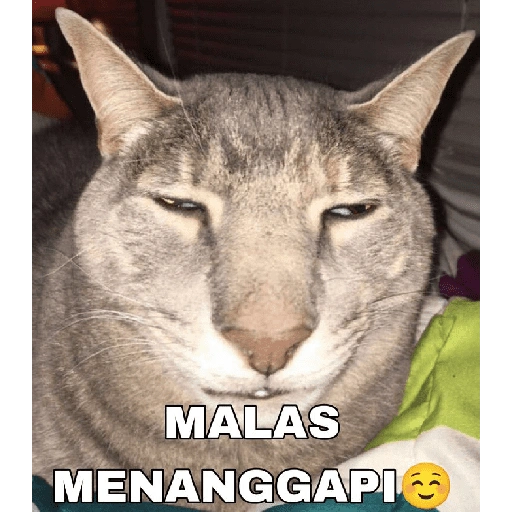 MALAS MENANGGAPI (tzv5xq8c2w)