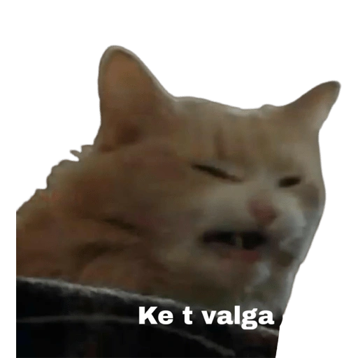ولا يهمني (frzxjhn3dk)