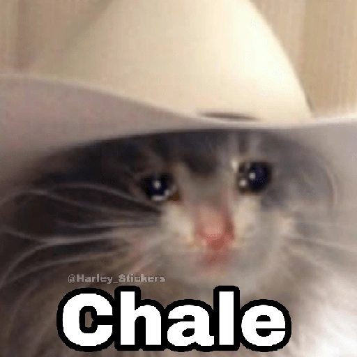 Gatitos SAD 😞 1 (ksbqxwpfr3)