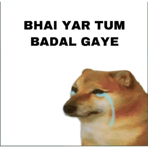 BHAI YAR TUM BADAL GAYE (gvtdcq2ysb)