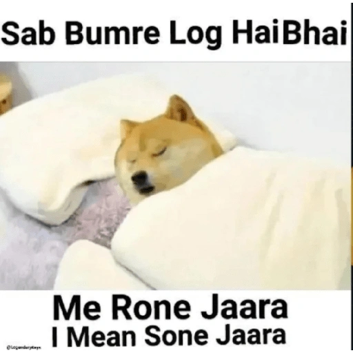Sab Bumre Log Hai Bhai Me Rone Jaara I Mean Sone Jaara (38bgxq9y2v)