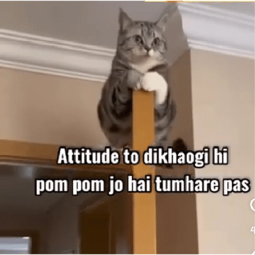 Attitude to dikhaogi hi pom pom jo hai tumhare pas C 4 (gv75wdnxkh)