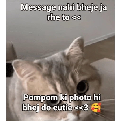 Message nahi bheje ja rhe to << Pompom ki photo hi bhej do (hjgxmqd2tw)