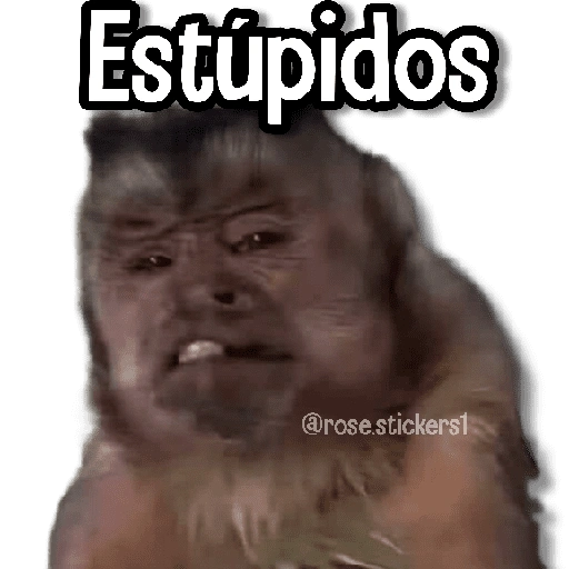 Estúpidos @rose.stickers1 (fgj5qcn6bw)