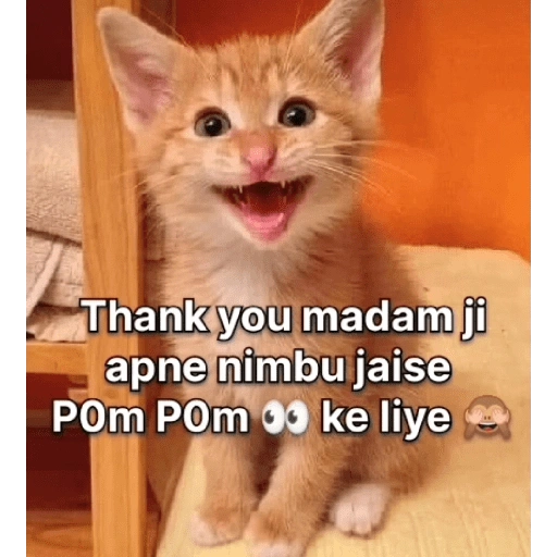 Thank you madam ji apne nimbu jaise Pom Pom o ke liye (rqm7s83g5x)