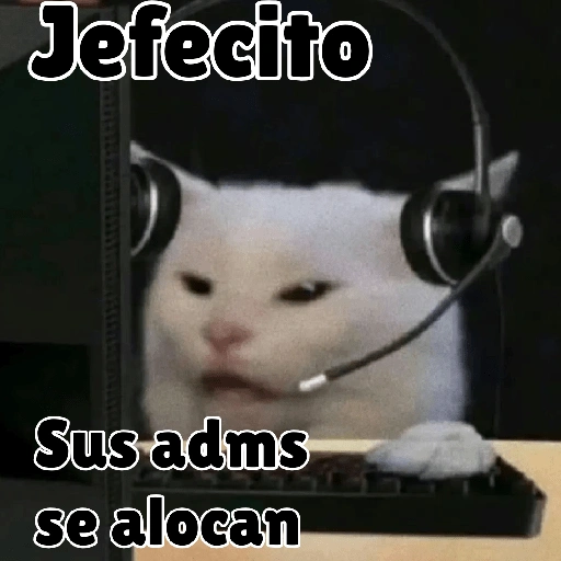 Jefecito Sus adms se alocan (2w9r7yzv3b)