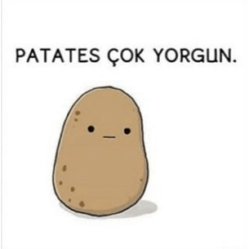 PATATES ÇOK YORGUN. (b5v2m4qdtj)