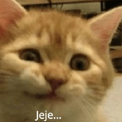 Jeje... (kfjmpgstv3)