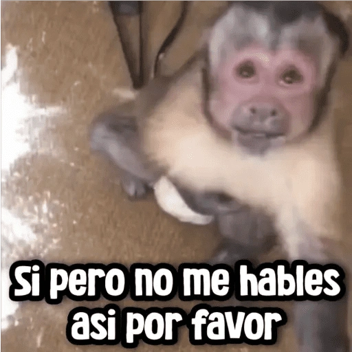Si pero no me hables asi por favor (d32pv76x9h)