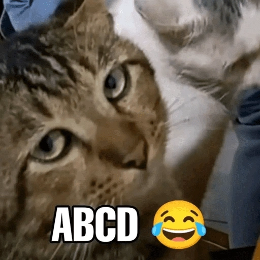 ABCD (tkgwhcv3sr)