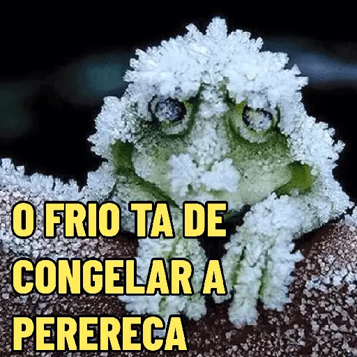 O FRIO TA DE CONGELAR A PERERECA (978sm5cnqr)