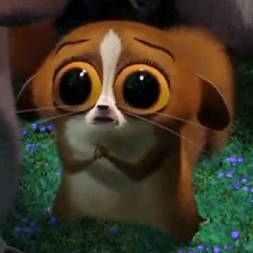 Tierno 🥰 (4fyhkdmr75)