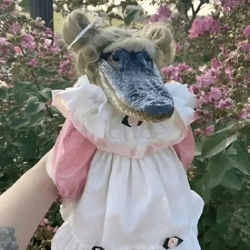 Más Animalitos!  🙊🐕 (src3tb58qx)