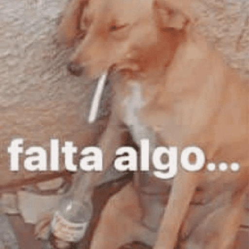 Aleatório: PT2 (k4xzg593f2)