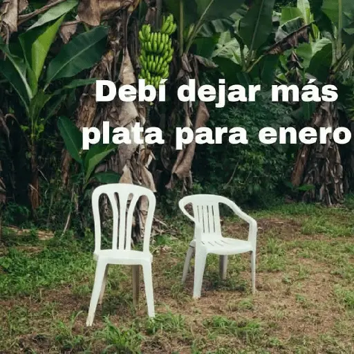 Debí dejar más plata para enero ДР (tzbnfqs5w6)
