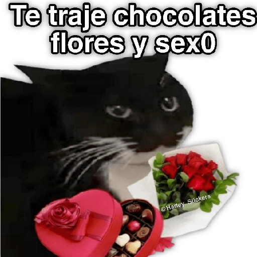 Te traje chocolates flores y sex0 (cd8t2pvmr3)