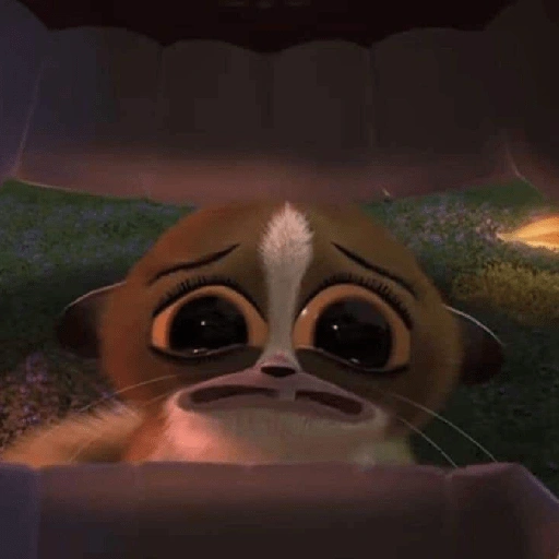 Tierno 🥰 (jk7q28fcxv)