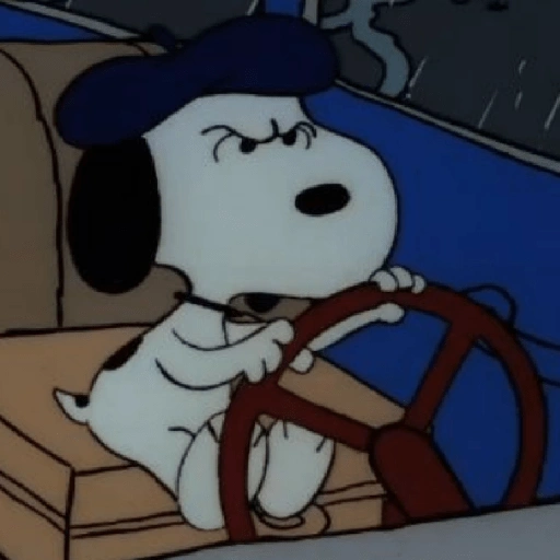 Snoopy mood variadito ✨ (yrnjgq765t)