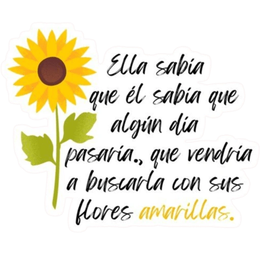 Ella sabia que él sabia que algún dia pasaria, que vendría a (9j5kbnxzsd)