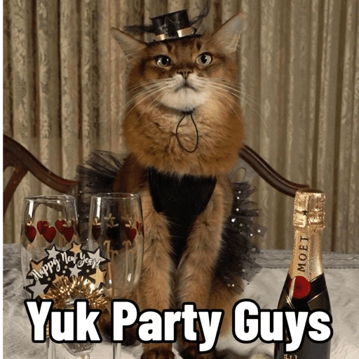 Happy New Year! MOET Yuk Party Guys (pfr3whc2x6)