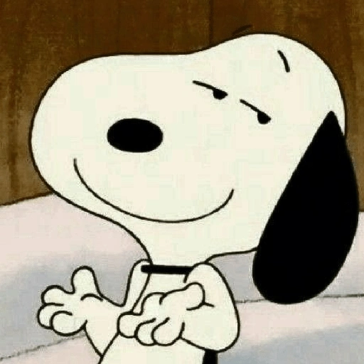 Snoopy mood variadito ✨ (t8nqkzfv6h)