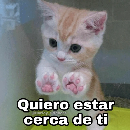 Quiero estar cerca de ti @Harley Stickers (6xczmyt597)