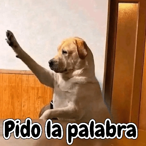 Pido la palabra (cxsvq5bmnz)