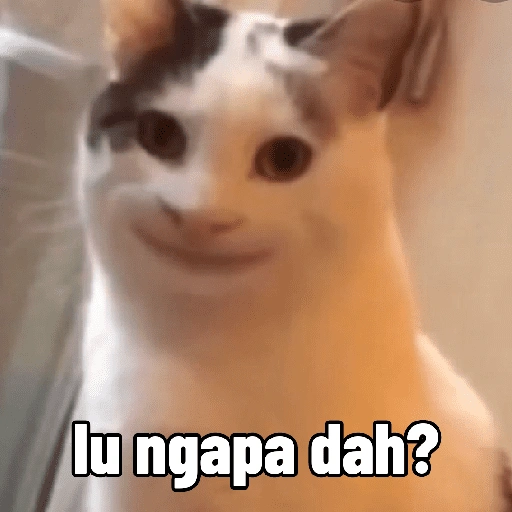 lu ngapa dah? (gxcb8vzj5w)