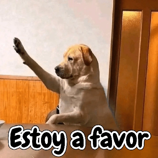 Estoy a favor (hpd2j9k5z3)