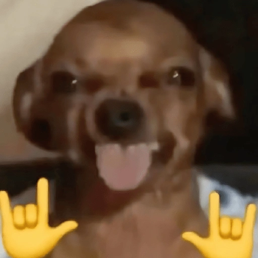 🐶🐕🦴PERRITOS | DOGS 2🦴🐕🐶 (836cjd92k7)